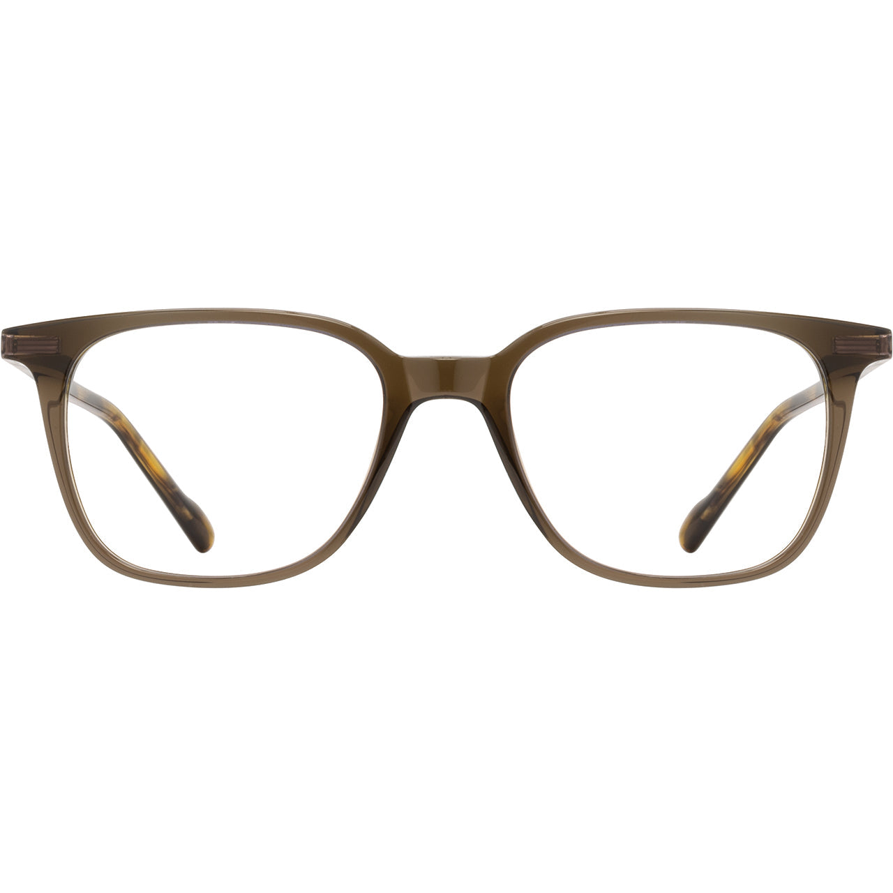 EUROPA EYEWEAR SCOTT HARRIS SHX-019 Khaki / Gold-3 51
