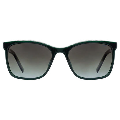 INVU 249 C3 Warm Dark Green/Silver (Gradient Brown Lens) Sunglasses
