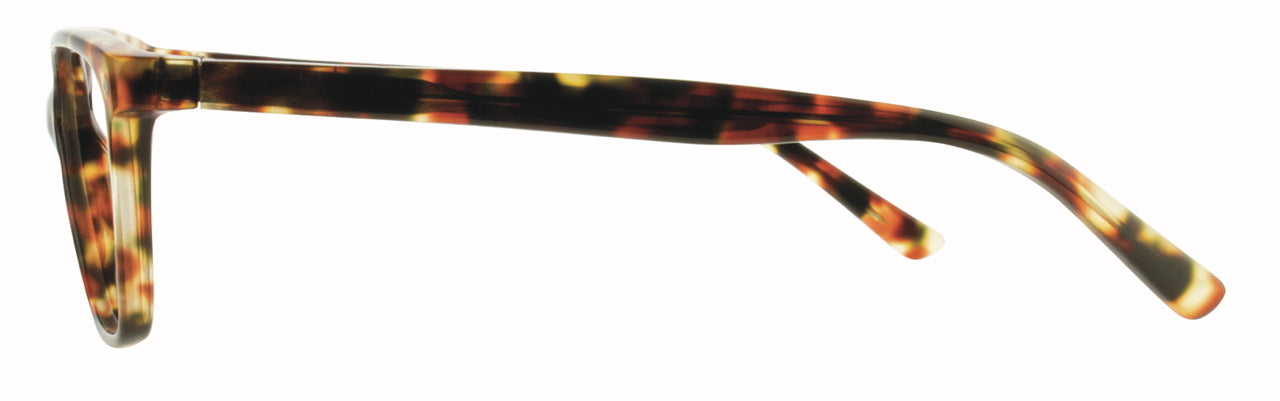 EUROPA EYEWEAR SCOTT HARRIS 502 Rust Demi-3  54  Large